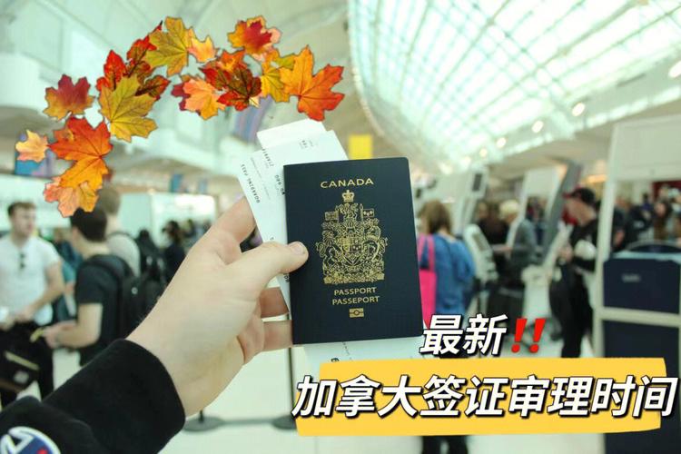 旅游签证可以提前多久-旅游签证提前多久续签合适