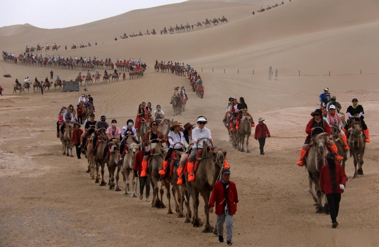 敦煌旅游骆驼排队多久-敦煌旅游骆驼排队多久一次